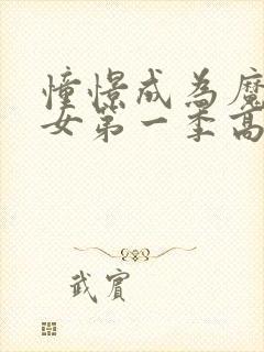 憧憬成为魔法少女第一季高清封面