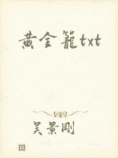 黄金笼txt