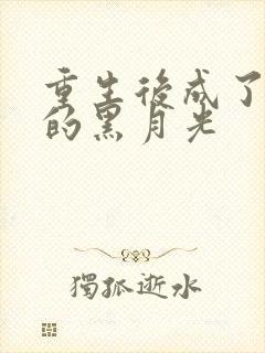 重生后成了权臣的黑月光封面