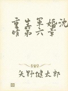 重生军婚沈毅李晴第六章