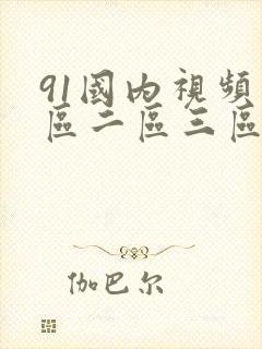 91国内视频一区二区三区