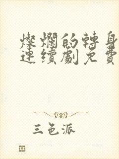 灿烂的转身电视连续剧免费观看