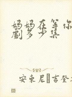 妈妈在等你电视剧多少集