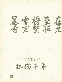 暴雪将至在线观看完整版免费观看