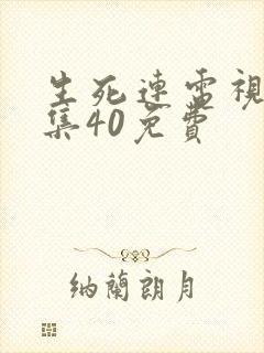 生死连电视剧全集40免费封面