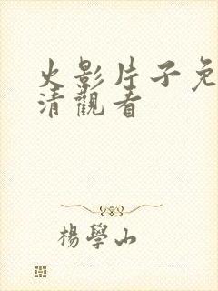 火影片子免费高清观看封面