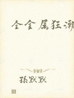 全金属狂潮小说封面