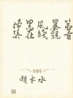 扫黑风暴第19集在线观看免费完整版