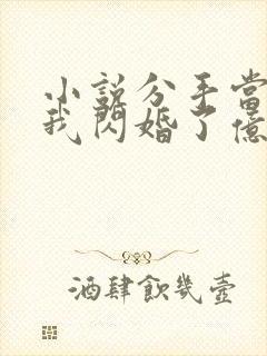 小说分手当天,我闪婚了亿万富豪