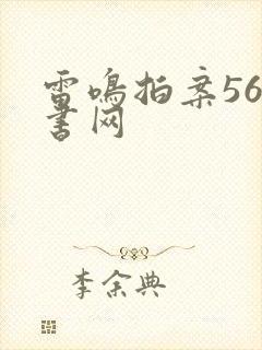 雷鸣拍案56听书网