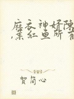 麻衣神婿陈黄皮,叶红鱼所有章节