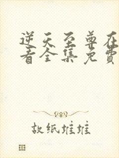 逆天至尊在线观看全集免费观看动漫