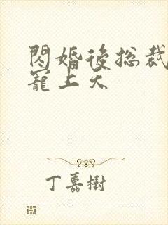 闪婚后总裁把她宠上天