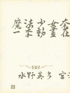 魔法少女奈叶第一季动画在线观看