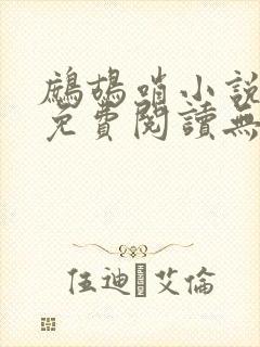 鹧鸪哨小说网站免费阅读无弹窗