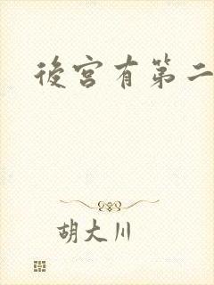 后宫有第二部吗封面