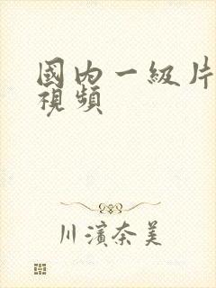 国内一级片内射视频