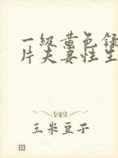 一级黄色录像影片夫妻性生活片