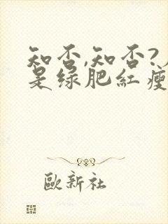 知否,知否?应是绿肥红瘦是什么意思封面