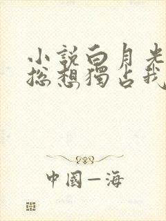 小说白月光女主总想独占我封面