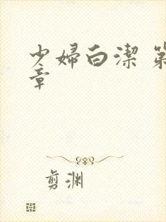 少妇白洁 第十章封面