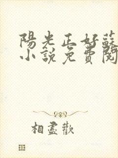 阳光正好苏玥玥小说免费阅读