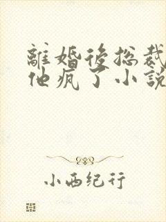 离婚后总裁前夫他疯了小说免费阅读