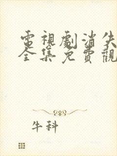 电视剧消失的她全集免费观看