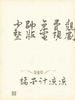 少帅免费观看完整版电视剧高清封面