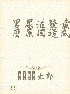 男尿液发黄是什么原因造成的