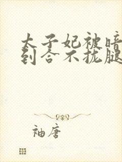 太子妃被暗卫C到合不拢腿封面