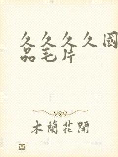 久久久久国产精品毛片