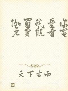 伽罗我爱你高清免费观看电视剧最新