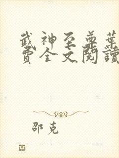 武神至尊叶风免费全文阅读无弹窗