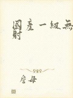 国产一级无套内射