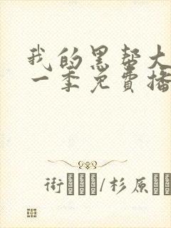 我的黑帮大佬第一季免费播放电视剧