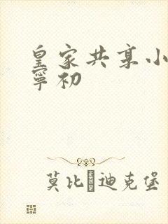 皇家共享小公主宁初