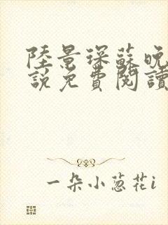 陆景琛苏晚晴小说免费阅读最新章节封面