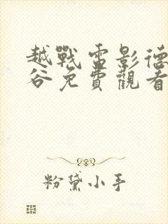 越战电影德浪河谷免费观看