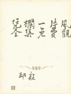 凭栏一片风云起全集免费观看完整版封面