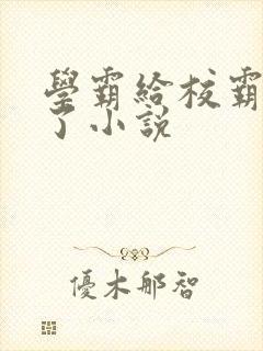 学霸给校霸舔批了小说封面