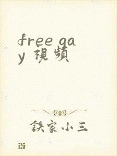 free gay 视频
