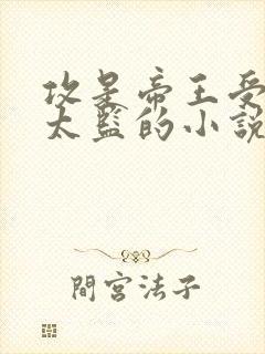 攻是帝王受是小太监的小说