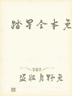 踏星全本免费读封面