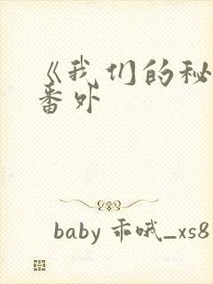 《我们的秘密》番外封面