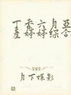 丁香六月亚洲国产婷婷综合网