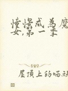 憧憬成为魔法少女,第一季