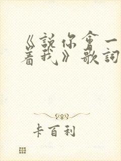 《说你会一直爱着我》歌词