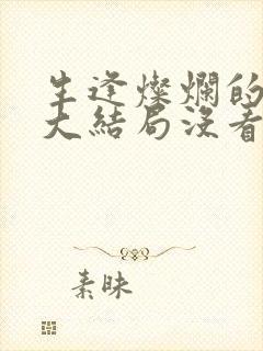 生逢灿烂的日子大结局没看懂