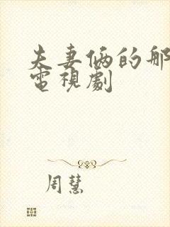 夫妻俩的那些事电视剧